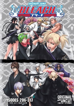 Bleach: Uncut Set 14