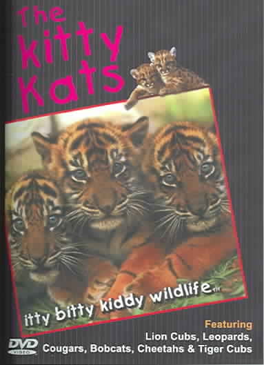Kitty Kats