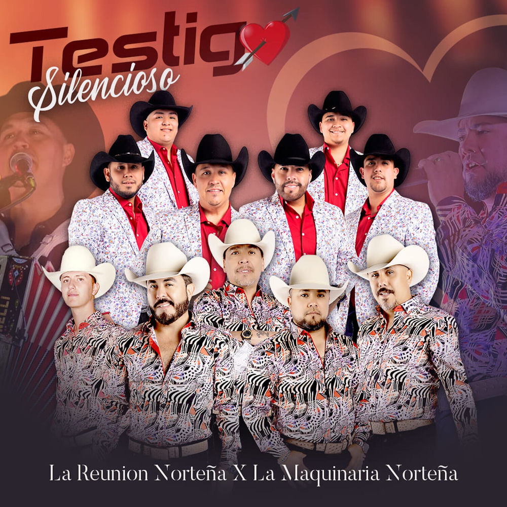 Maquinal cover