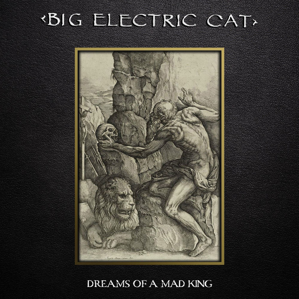 Dreams Of A Mad King cover