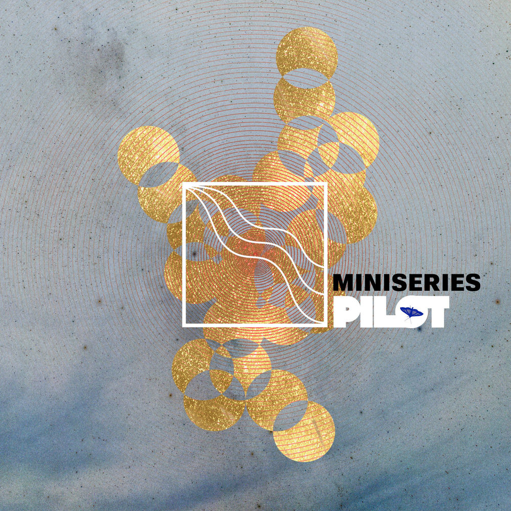 Pilot cover