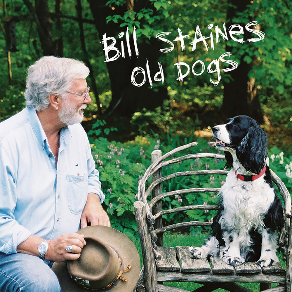 Old Dogs cover