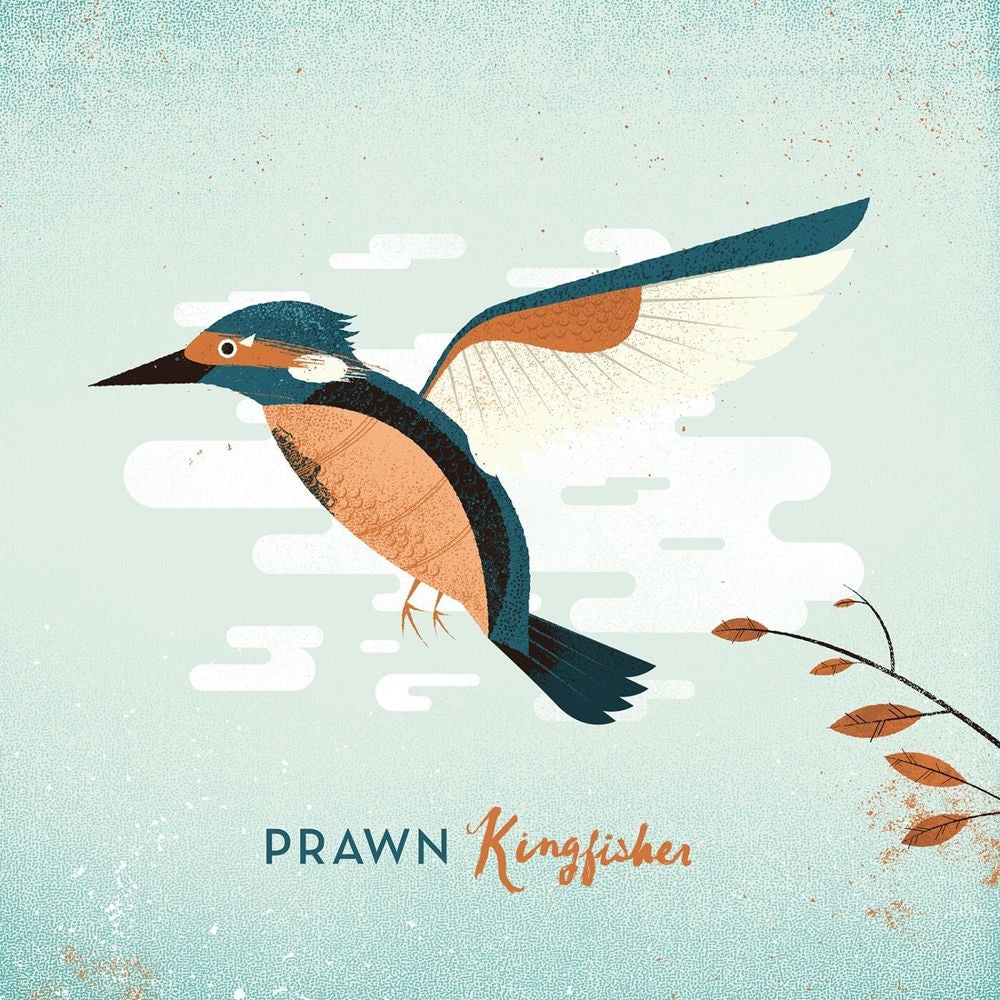 Kingfisher cover
