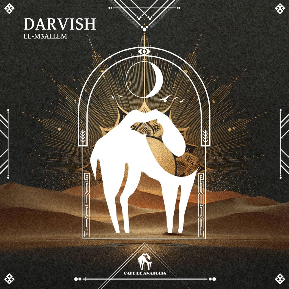 Darvish cover