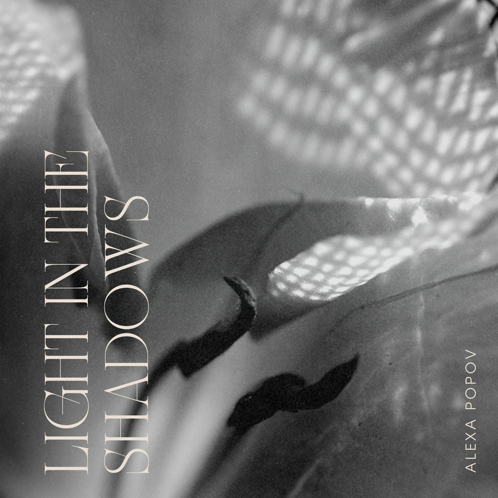 Light in the Shadow cover