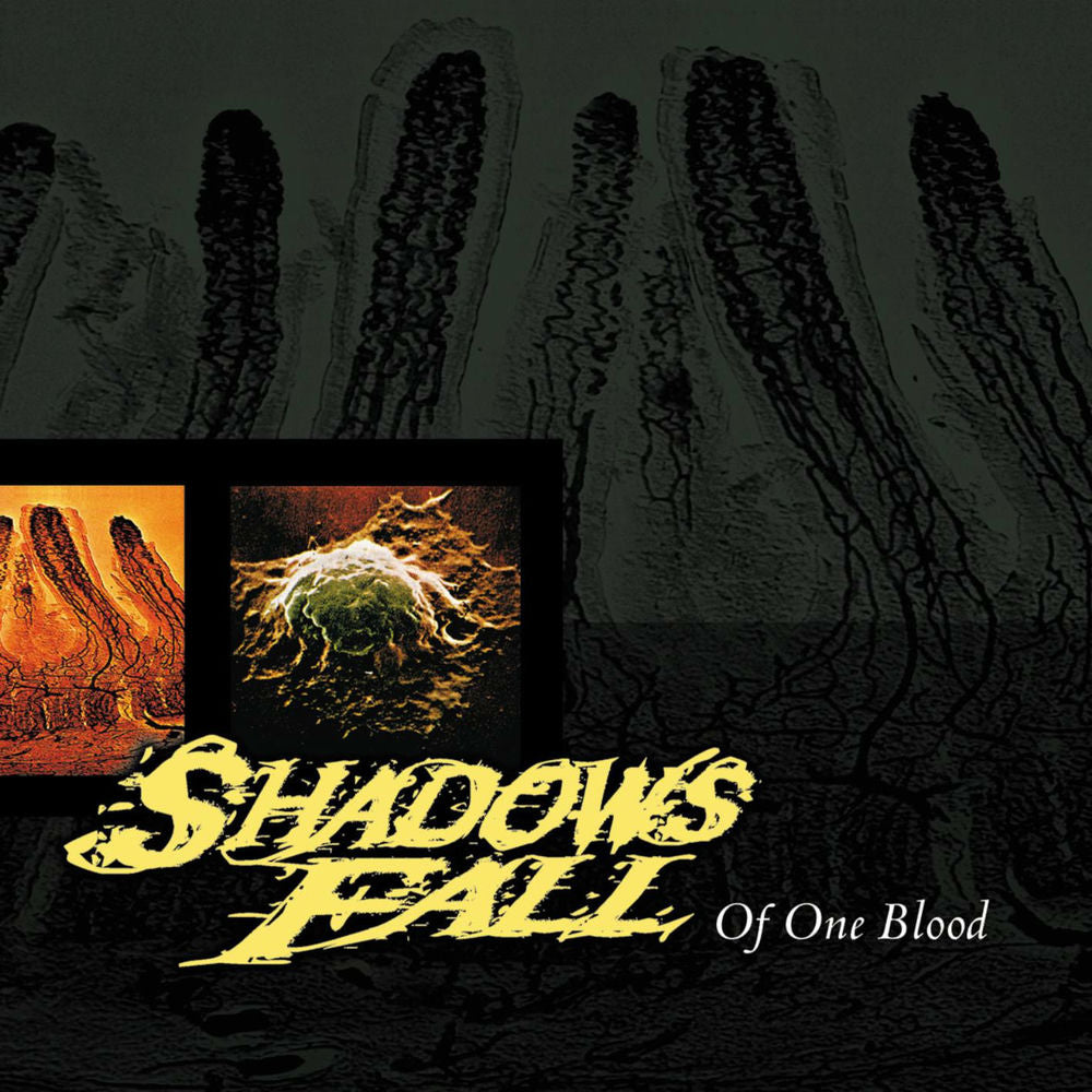Of One Blood cover
