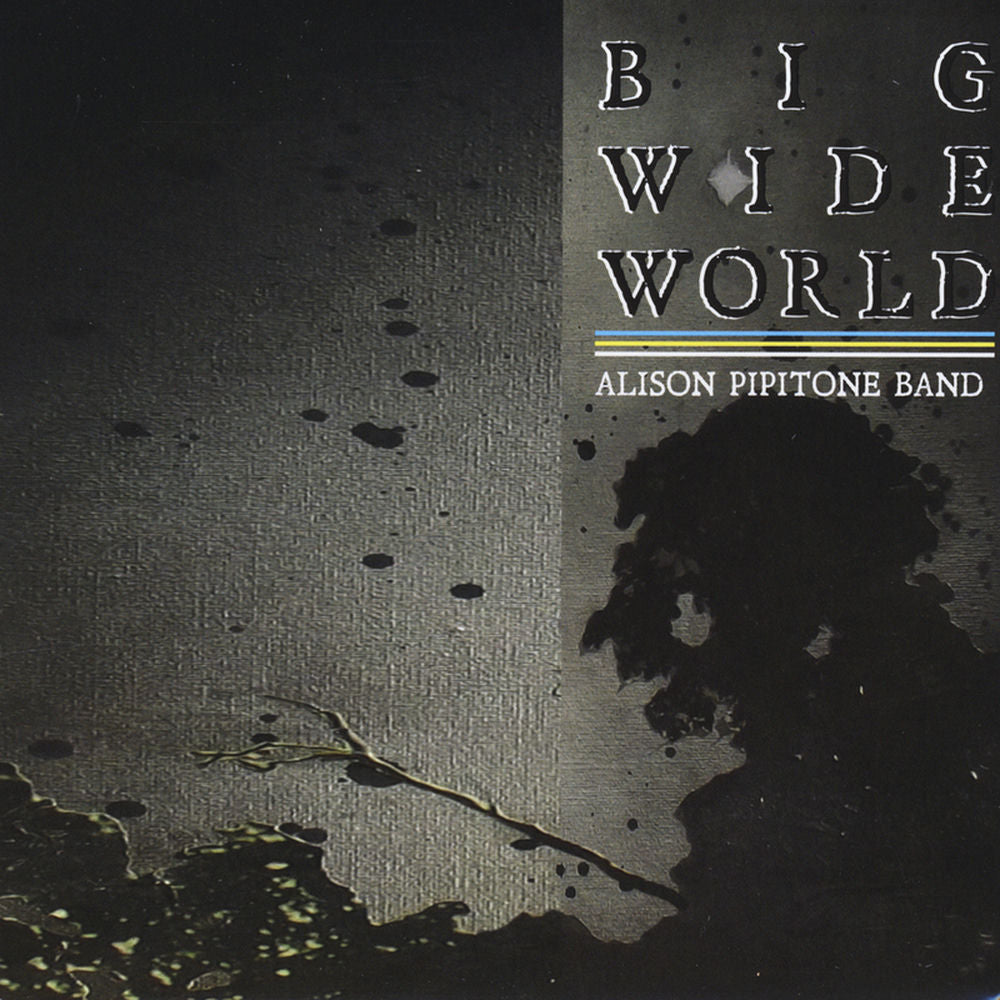 Big Wide World cover