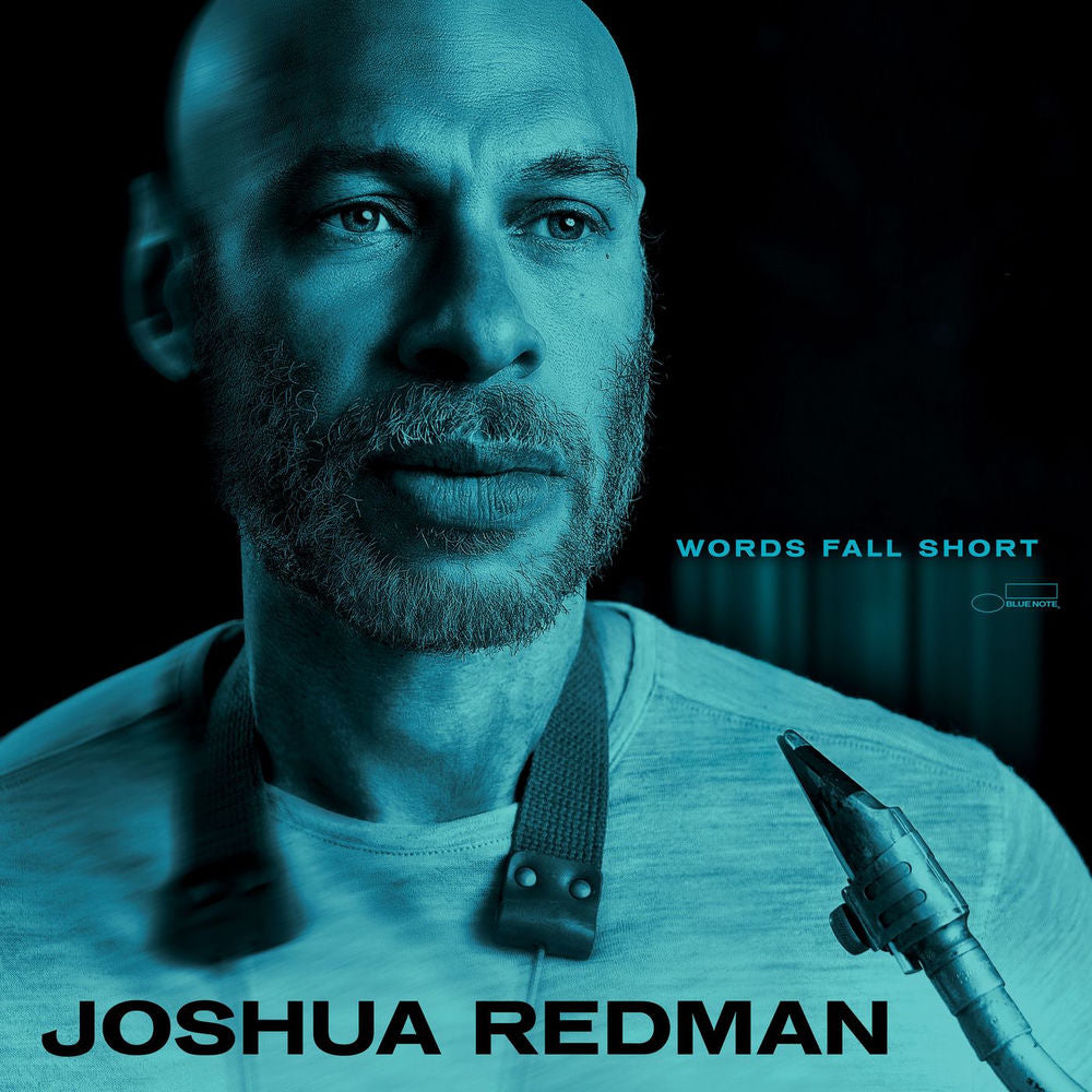Words Fall Short cover