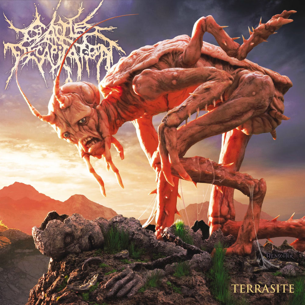 Terrasite cover
