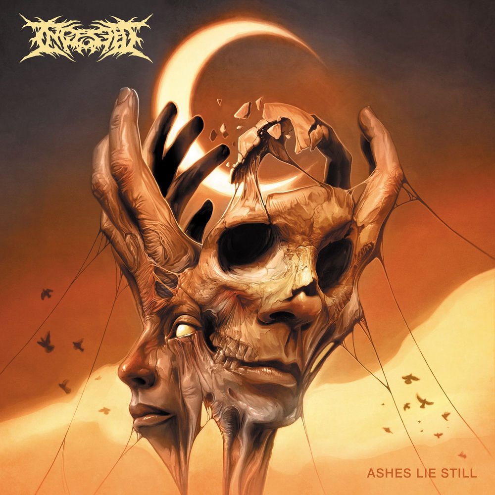 Ashes Lie Still cover