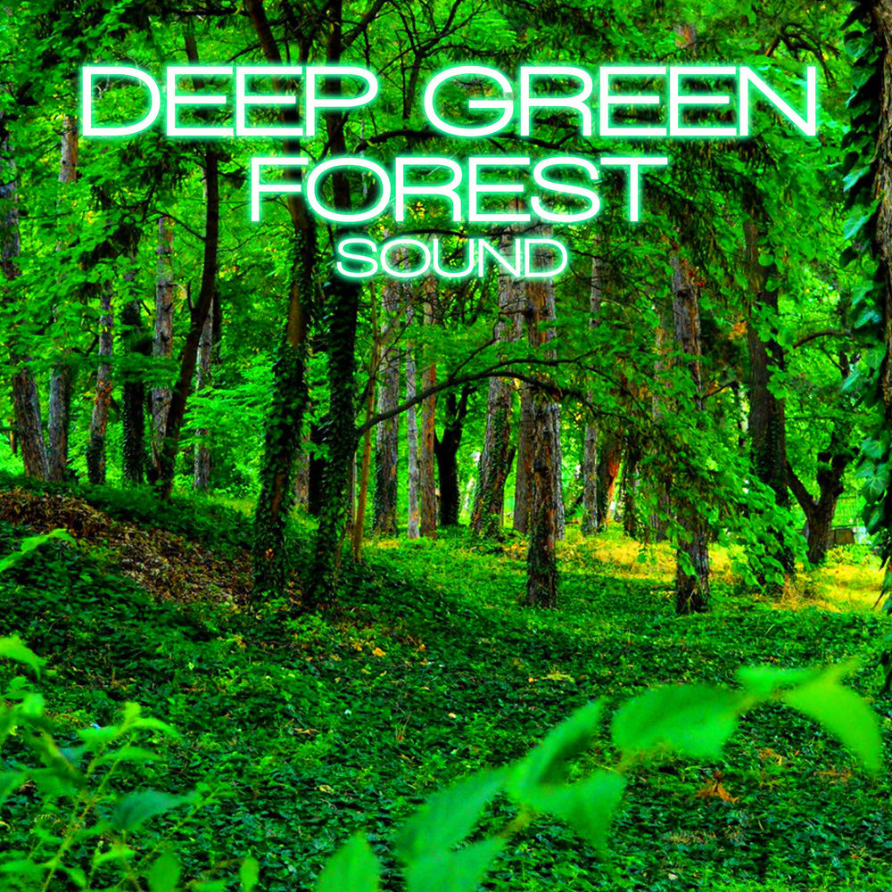 Discovery cover