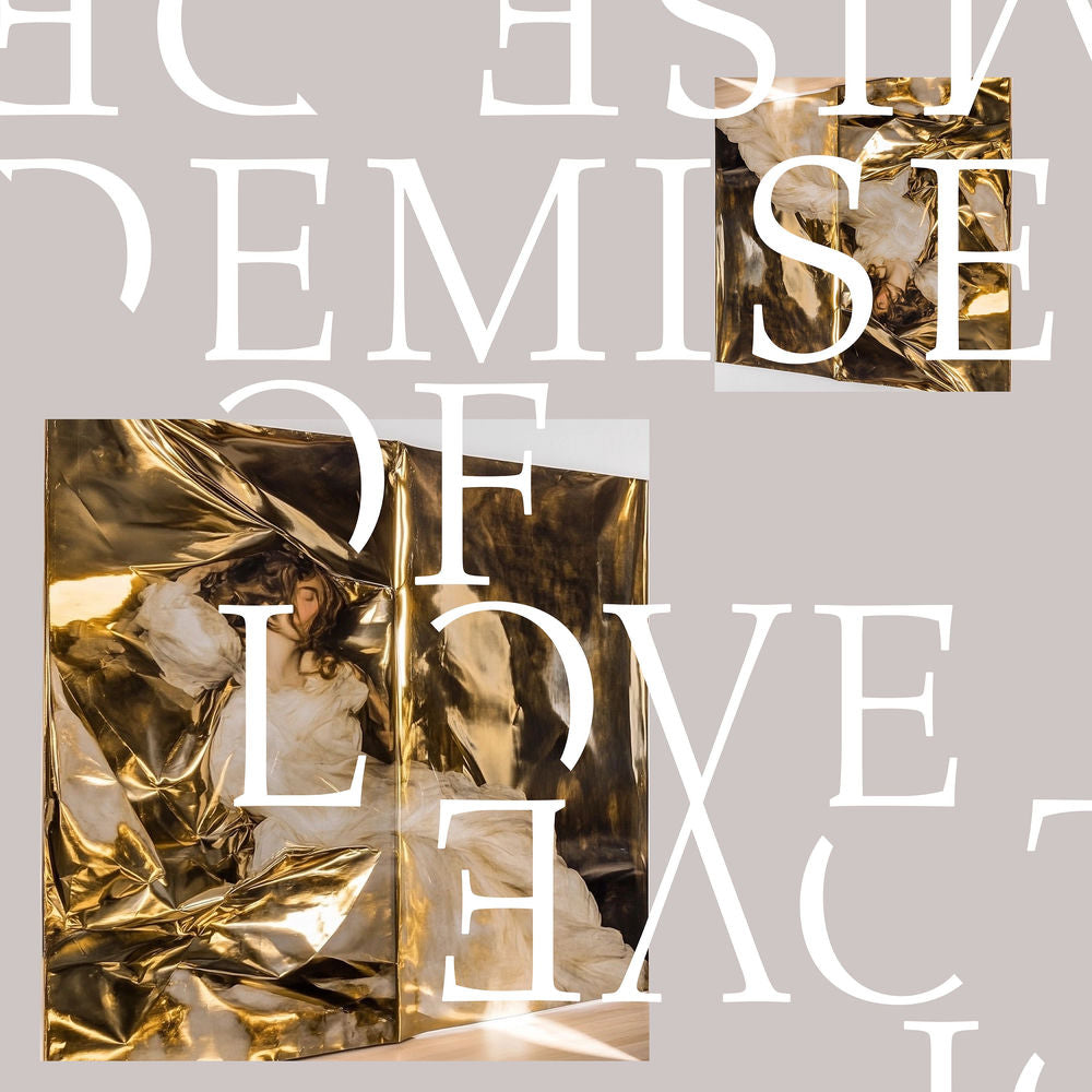 Demise Of Love cover