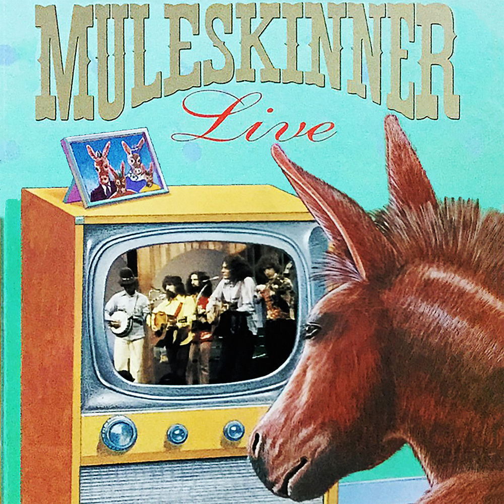 Live cover