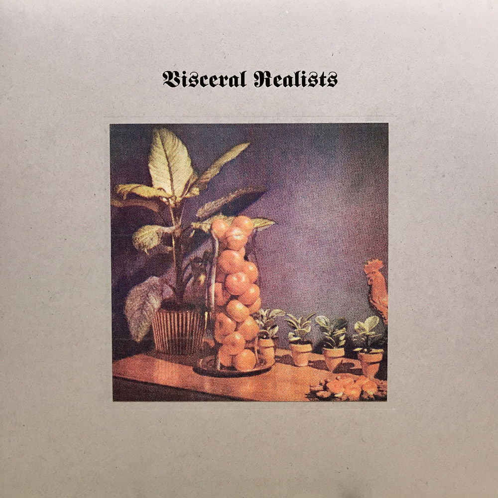 Visceral Realists cover