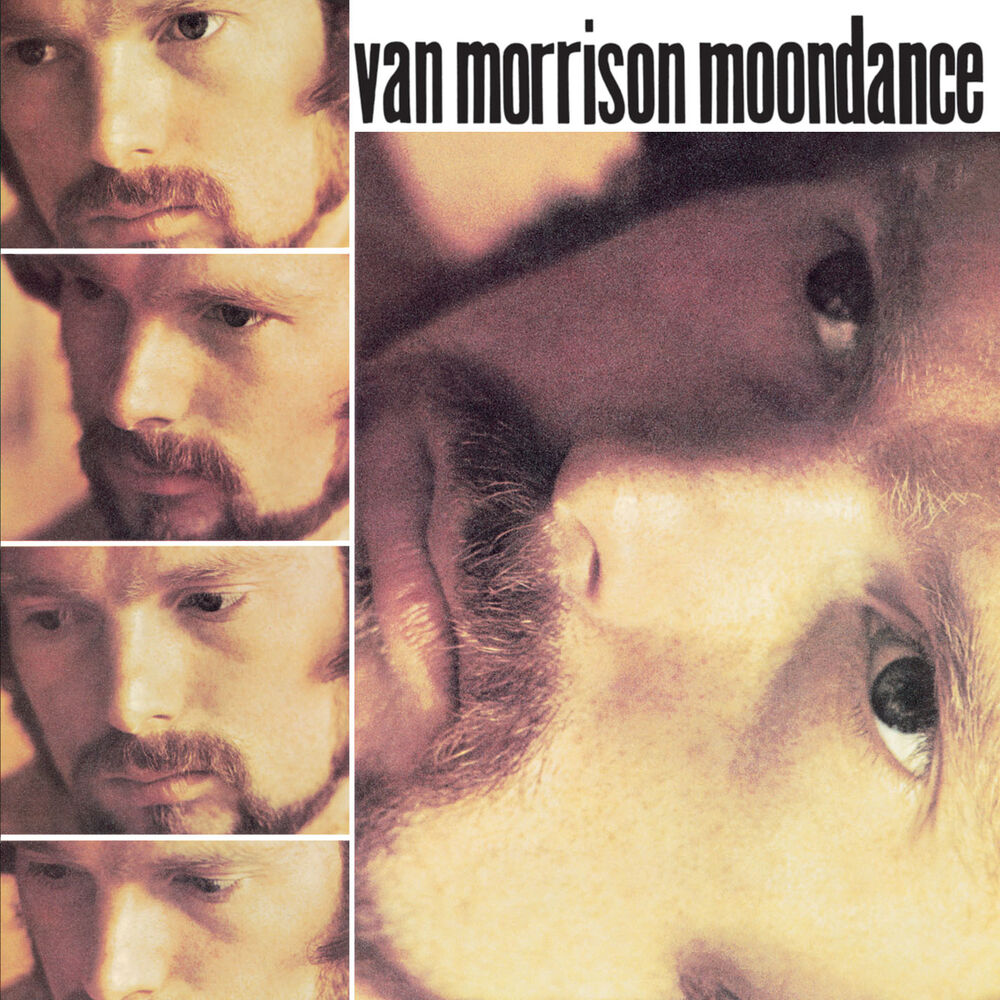Moondance cover