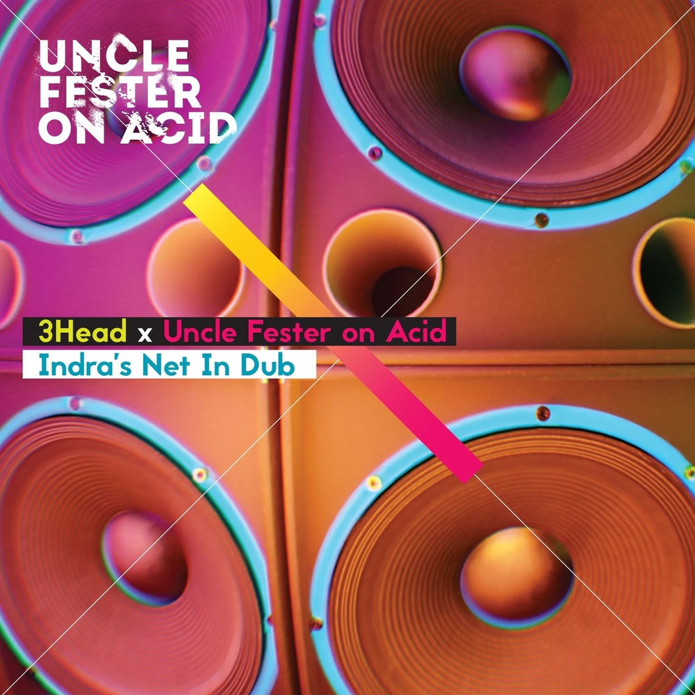 Indra's Net cover