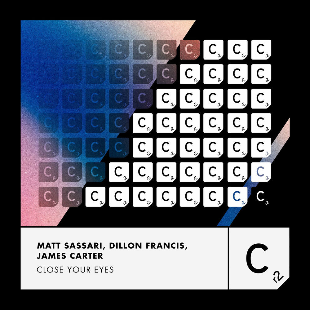 Closer cover