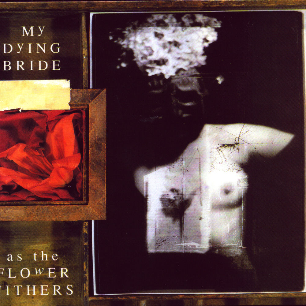 As The Flower Withers cover