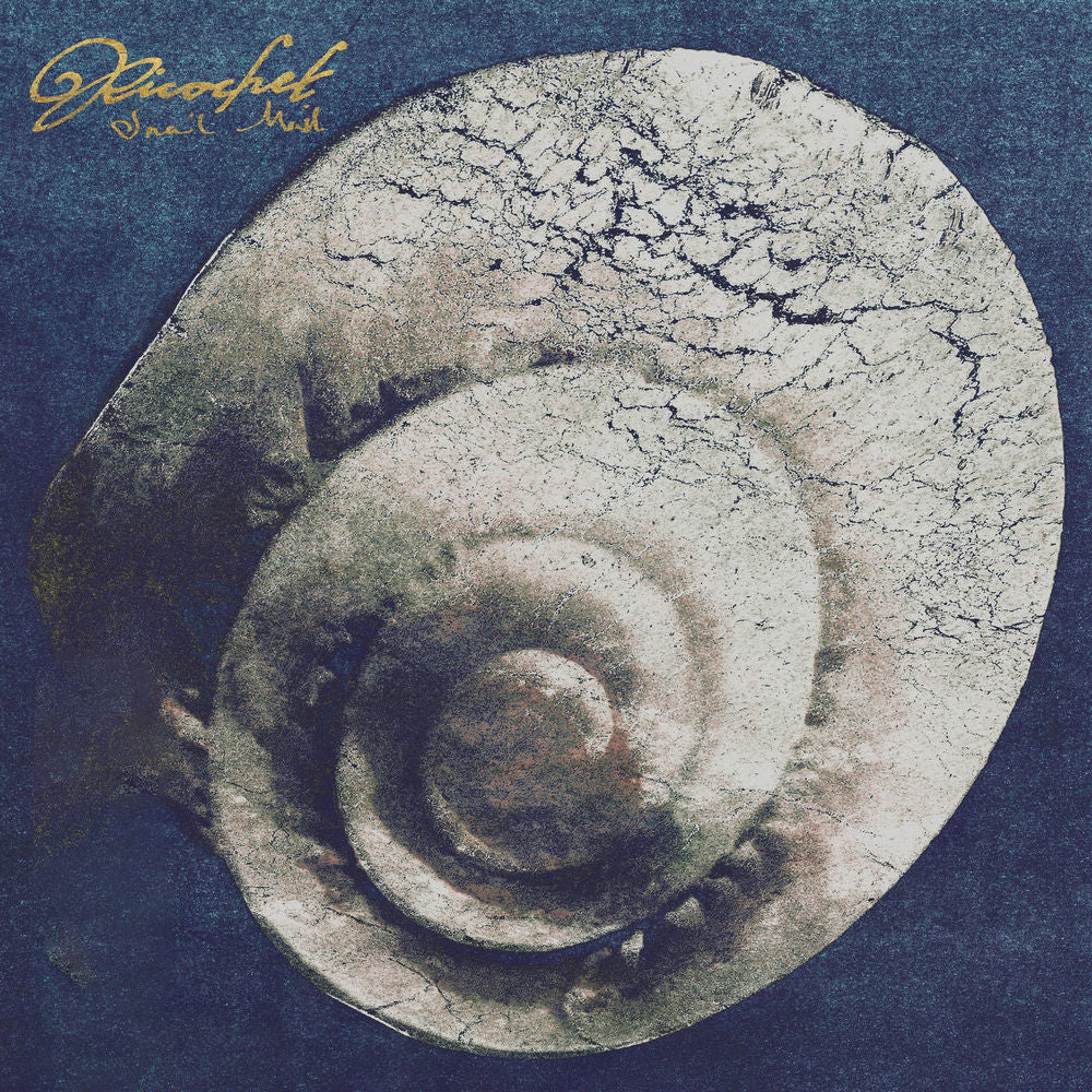 Ricochet cover