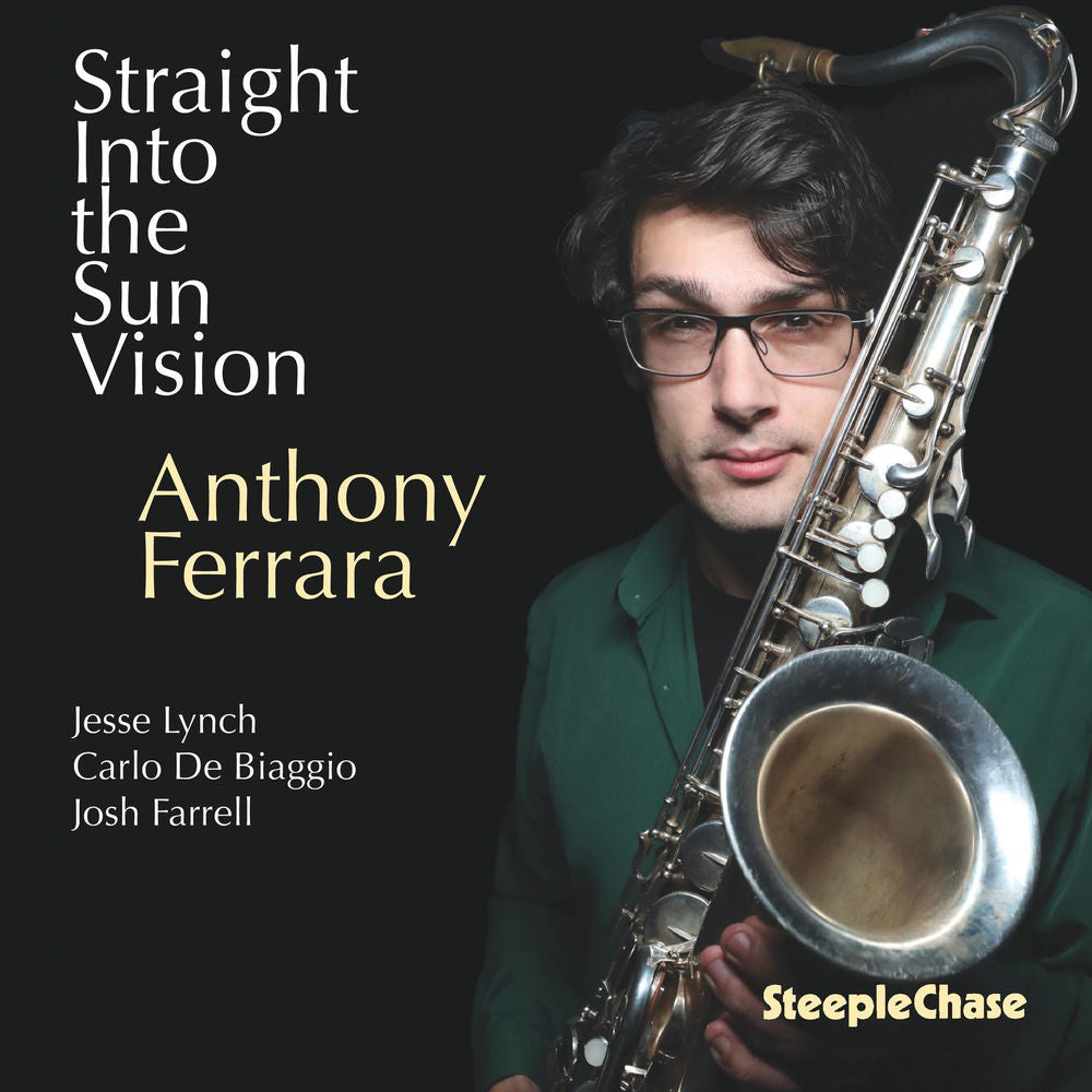 Straight into the Sun Vision cover