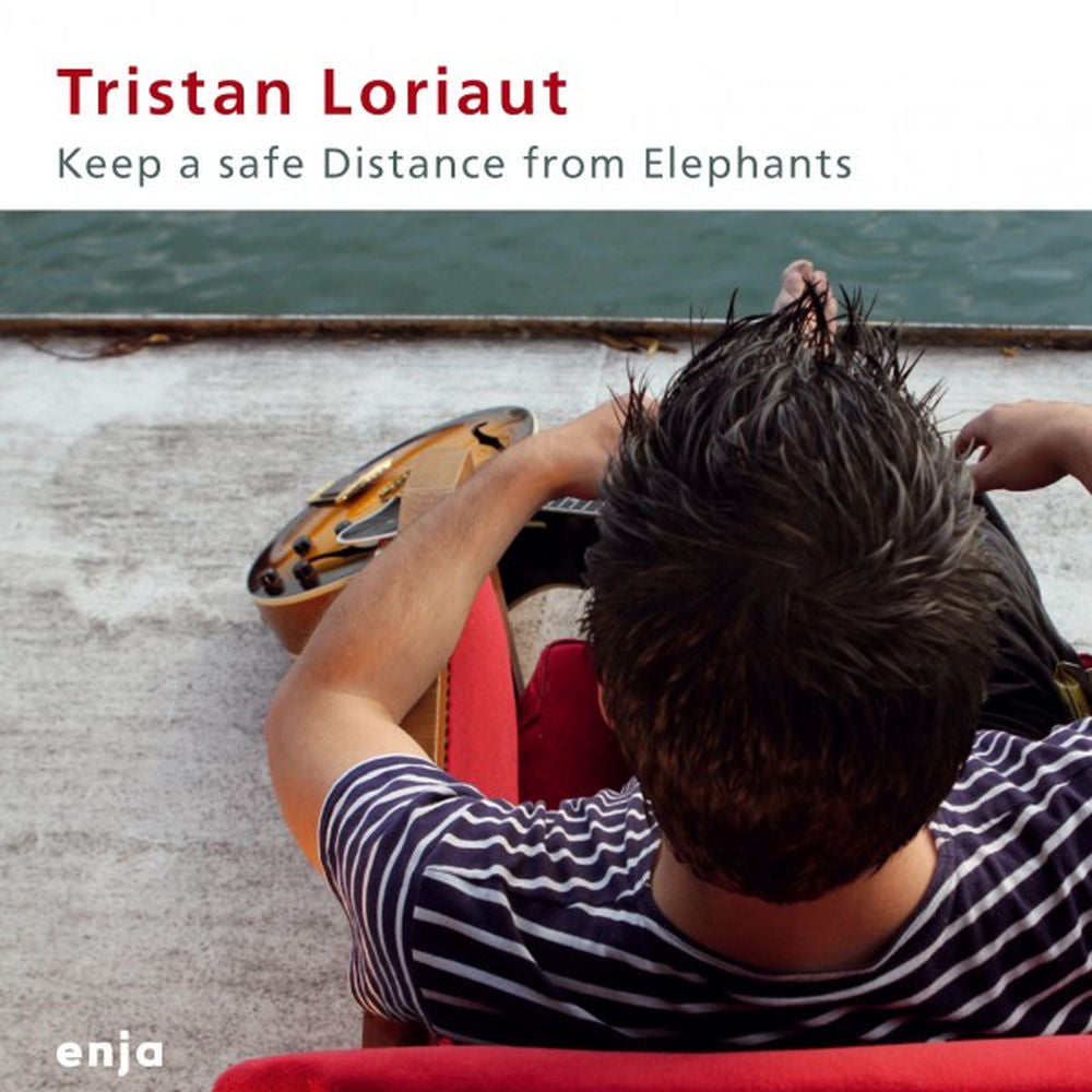 Keep a Save Distance from Elephants cover