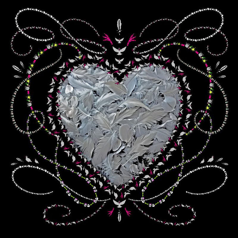 Il Vile cover