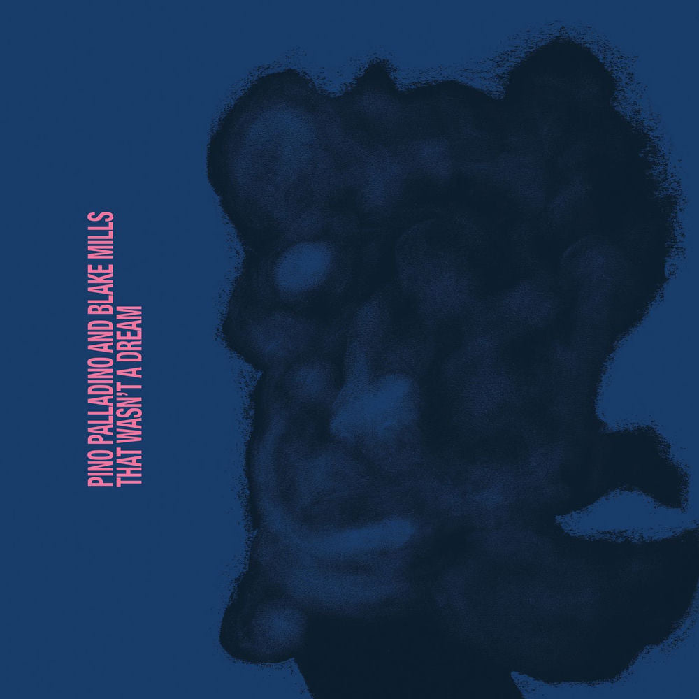 That Wasn't a Dream cover