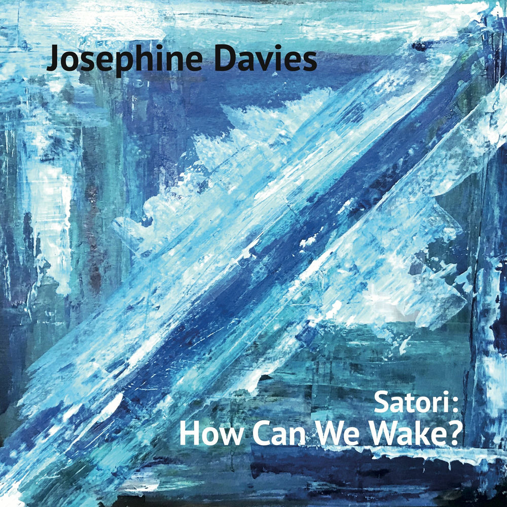 Satori: How Can We Wake? cover
