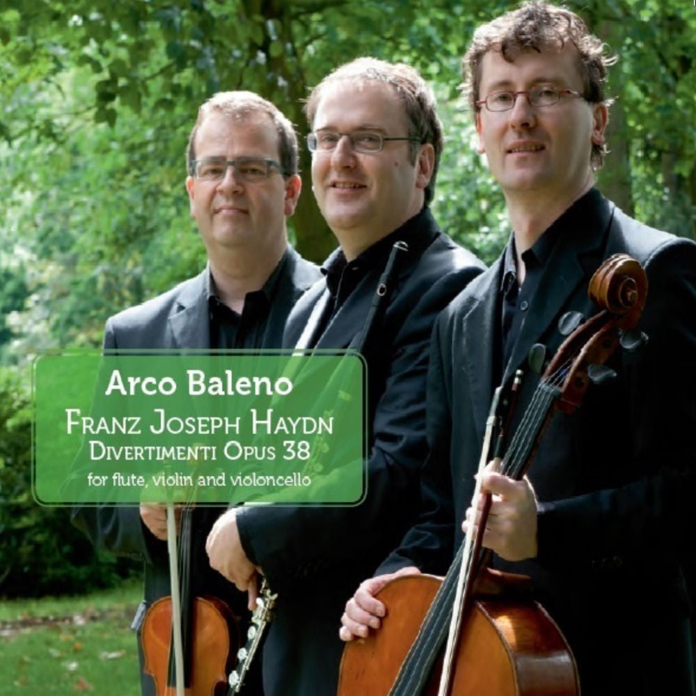 Haydn: Divertimenti for flute, violin and violoncello cover