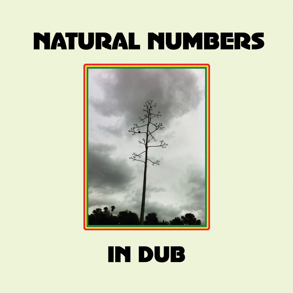 Natural Numbers in Dub cover