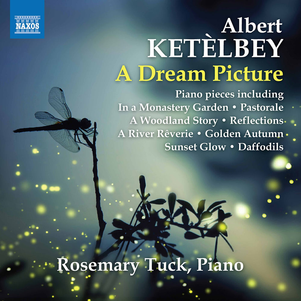 Dream Picture cover