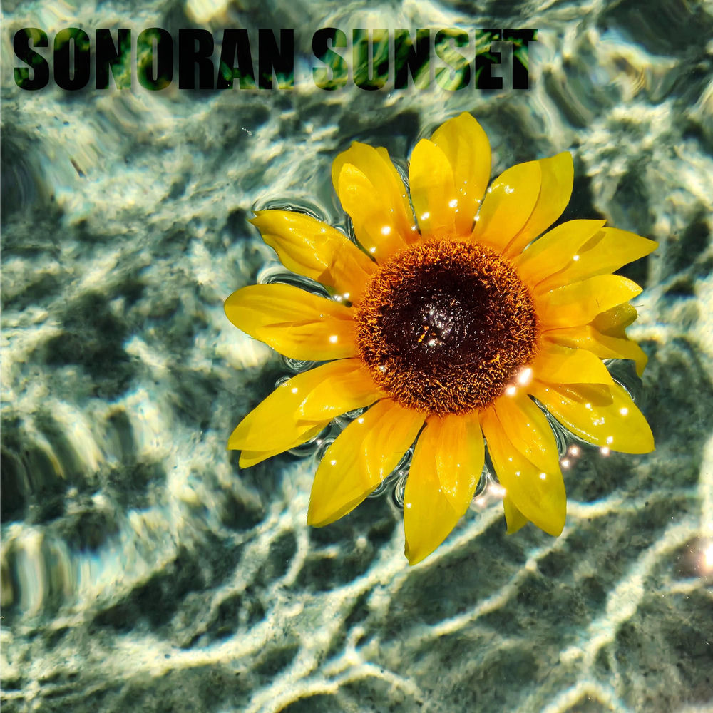 Sonoran Sunset cover