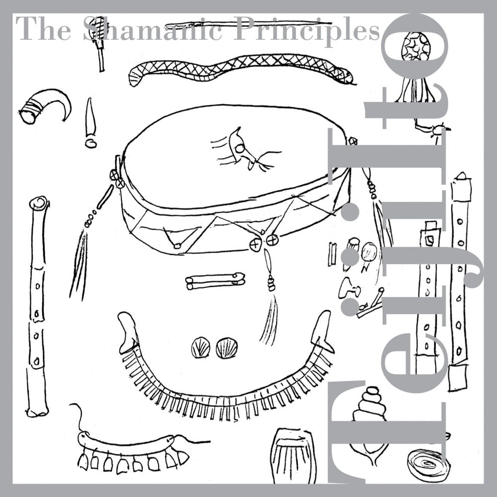 The Shamanic Principles cover