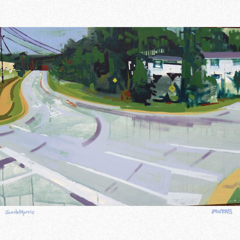 Moths (DELUXE EDITION) cover