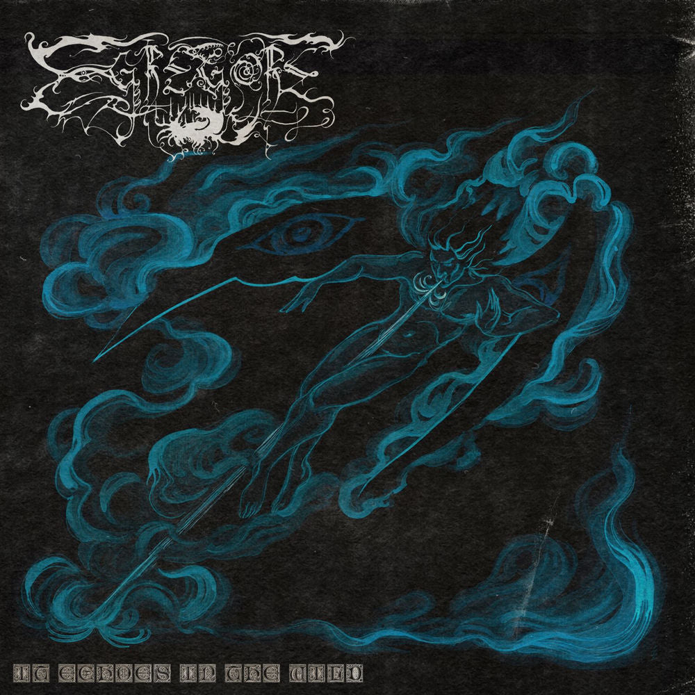 It Echoes In The Wild cover