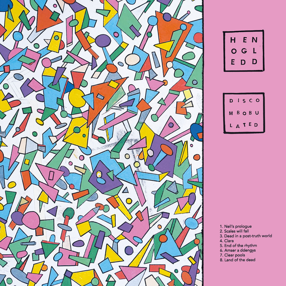 DISCOMBOBULATED cover