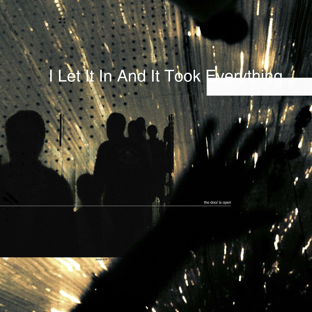 I Let It In & It Took Everything cover