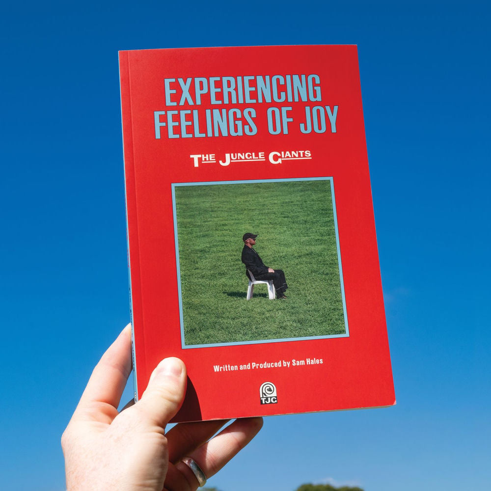 Experiencing Feelings of Joy cover