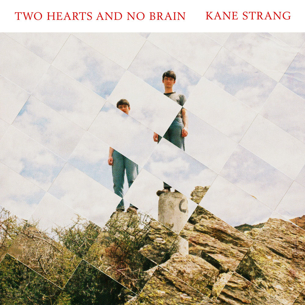 Two Hearts And No Brain cover
