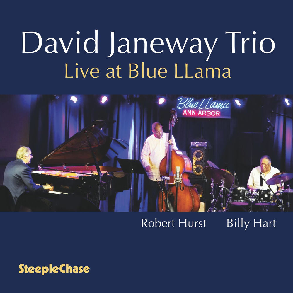 Live at Blue Llama cover
