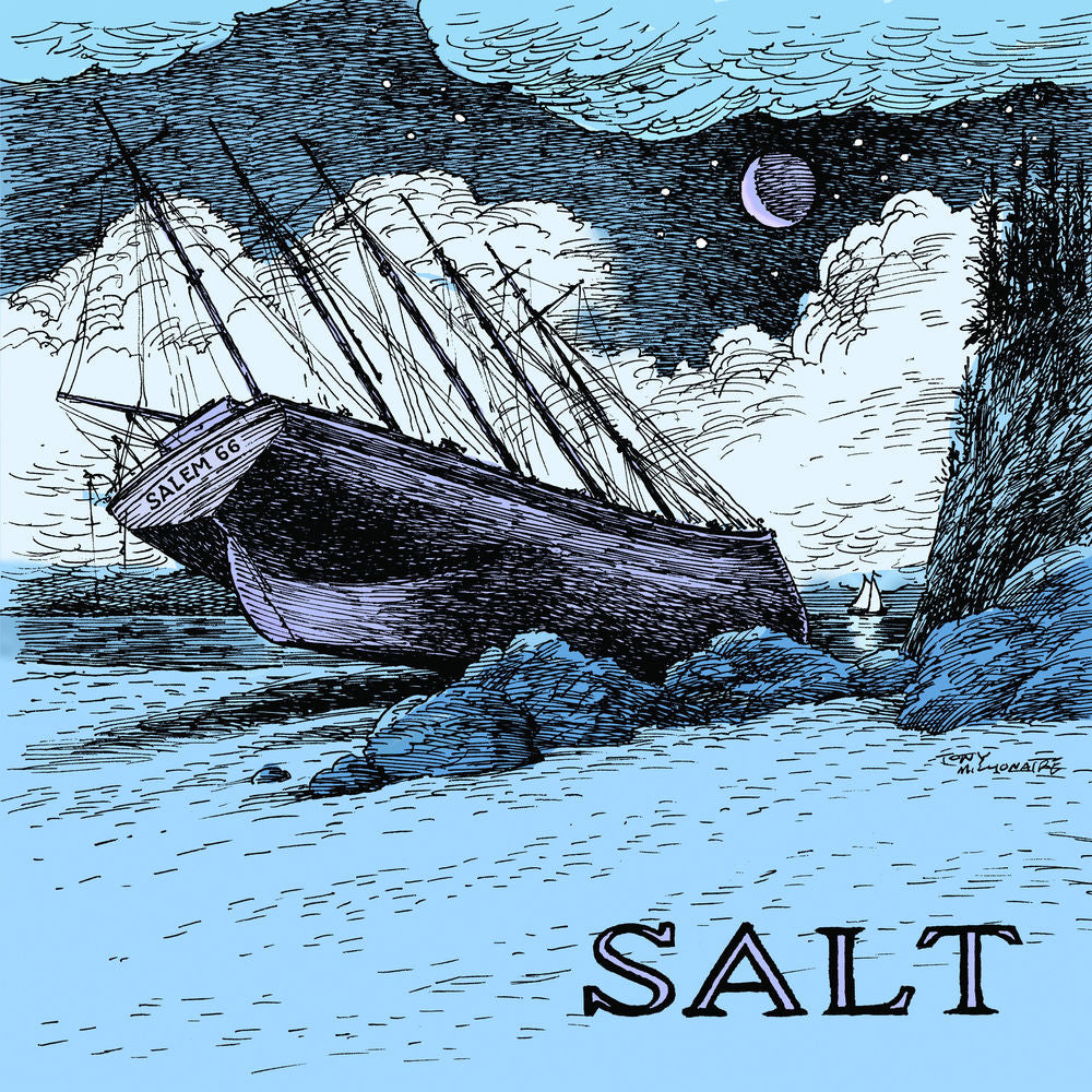 SALT cover