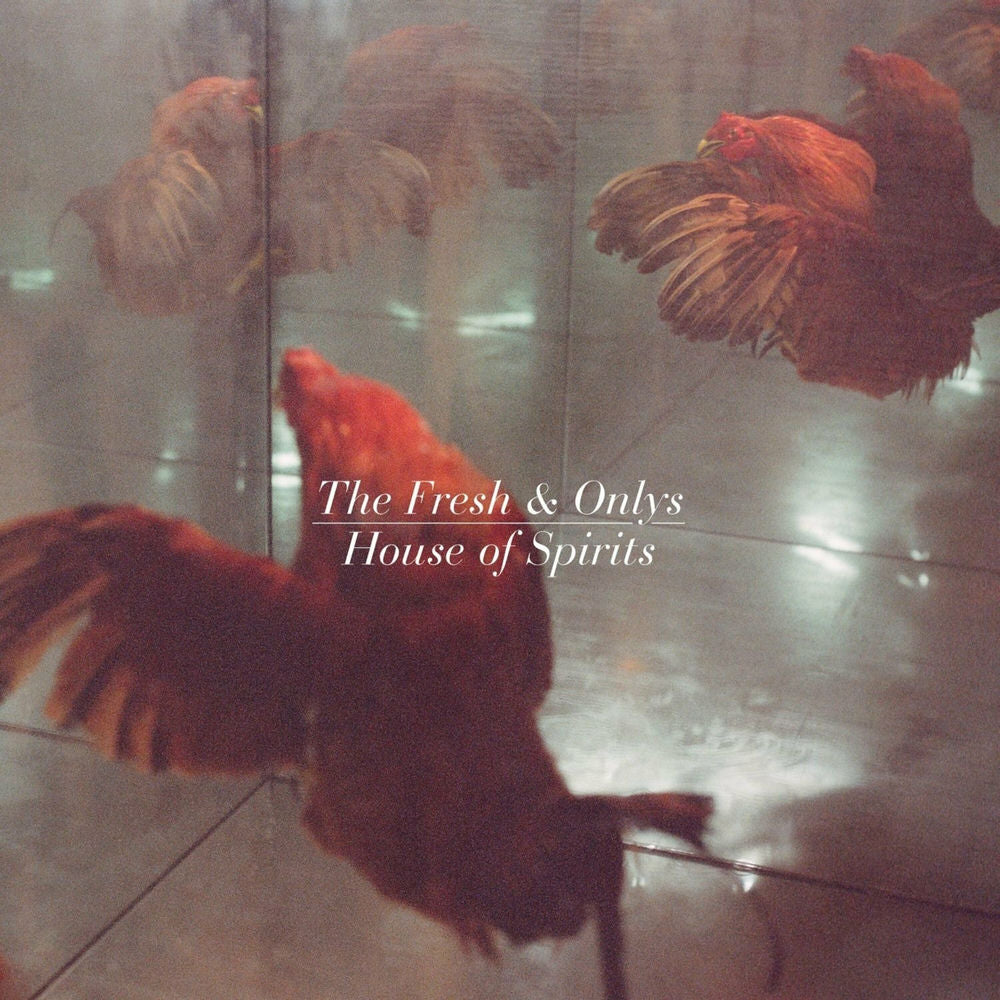 House of Spirits cover