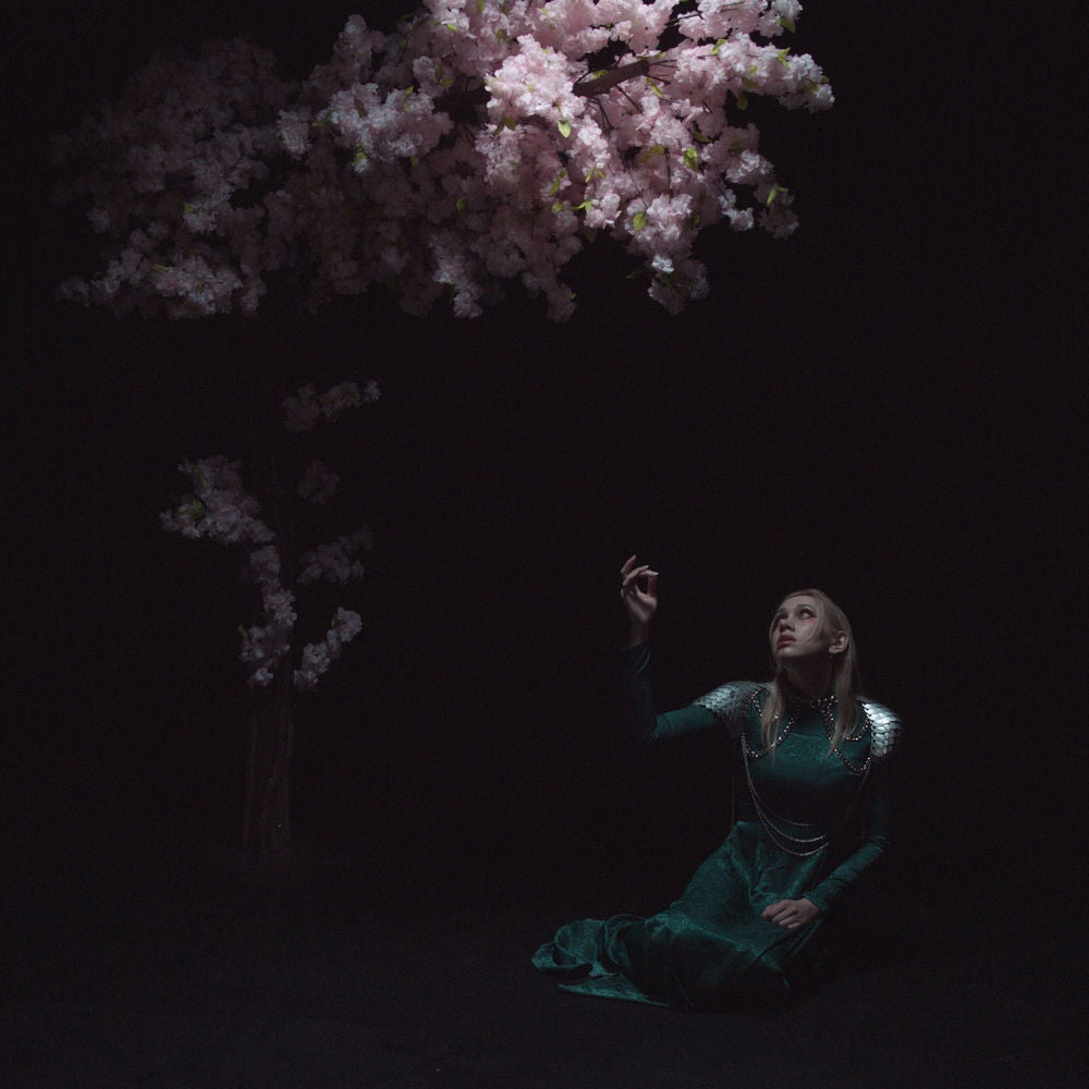 As The Light Left cover