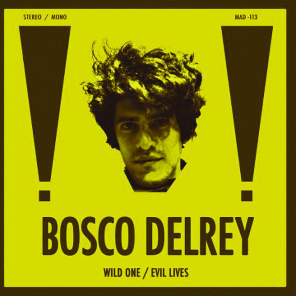 Wild One / Evil Lives cover