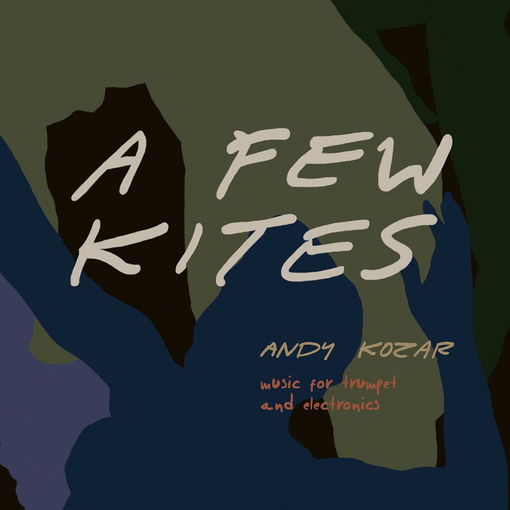 Few Kites cover