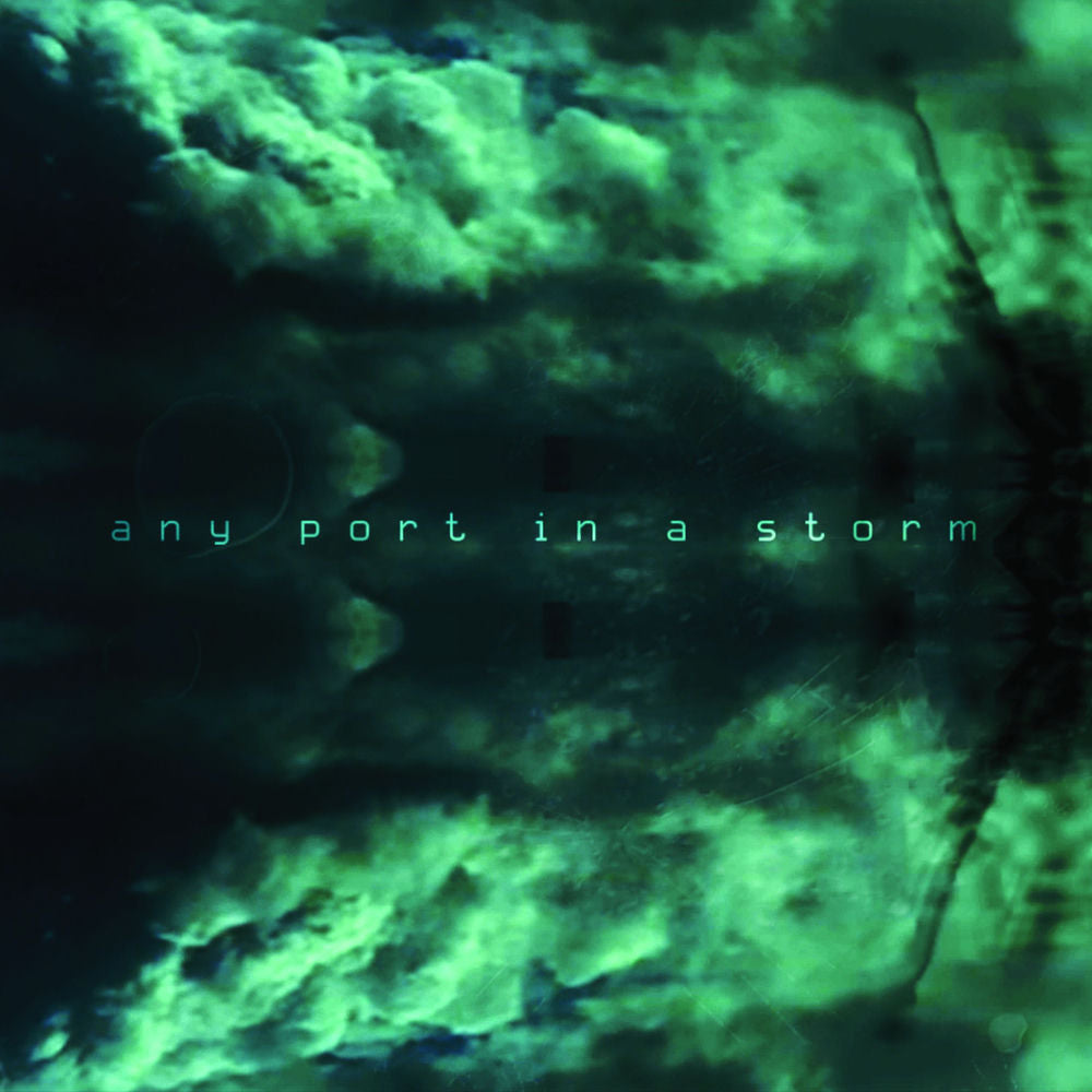 Any Port In A Storm cover