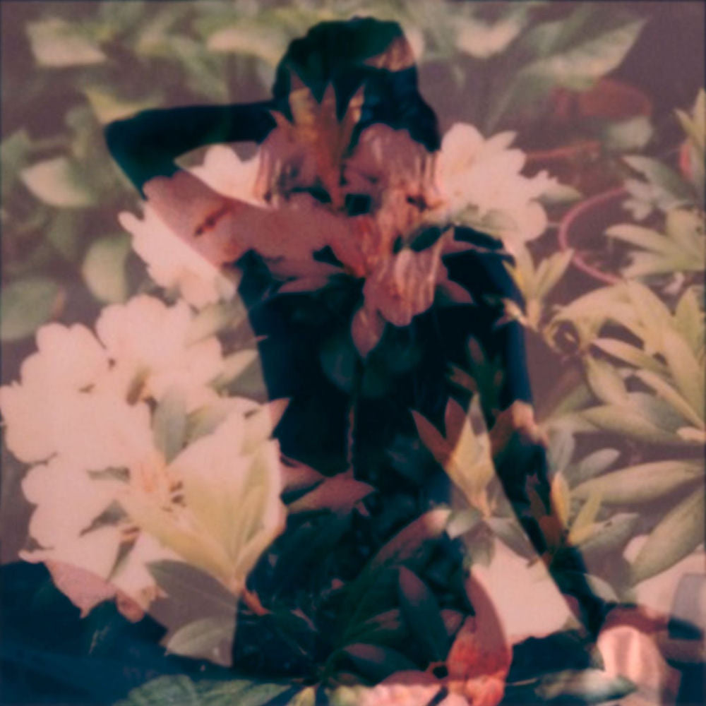 Modern Vices cover