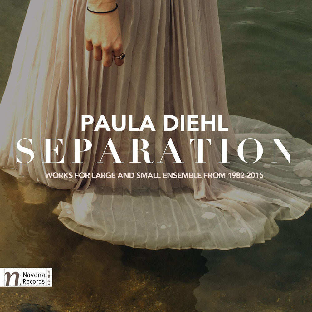 Paula Diehl: Separation cover