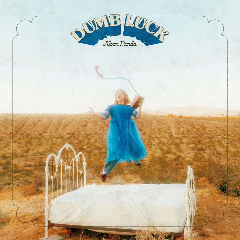Dumb Luck cover