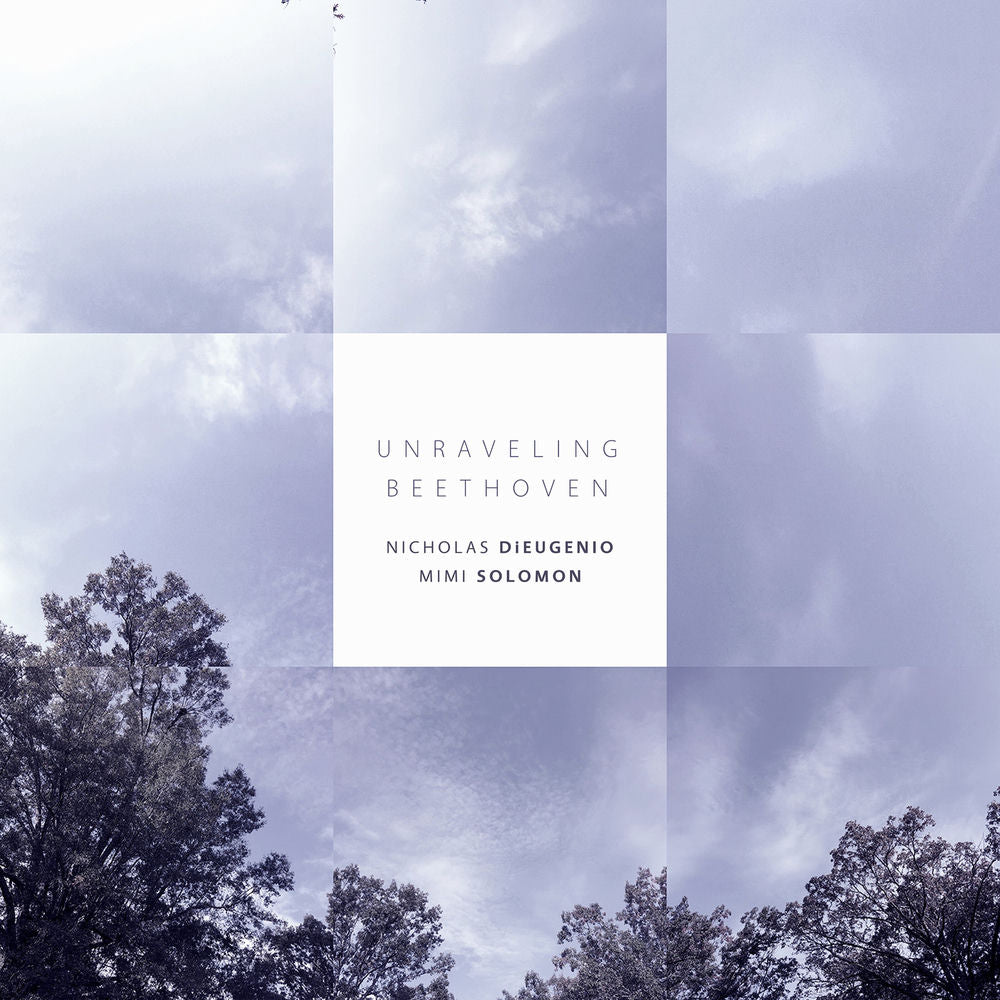 Unraveling Beethoven cover